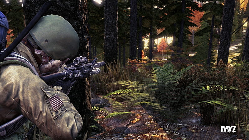 Strategies and DayZ cheats for Windows PC