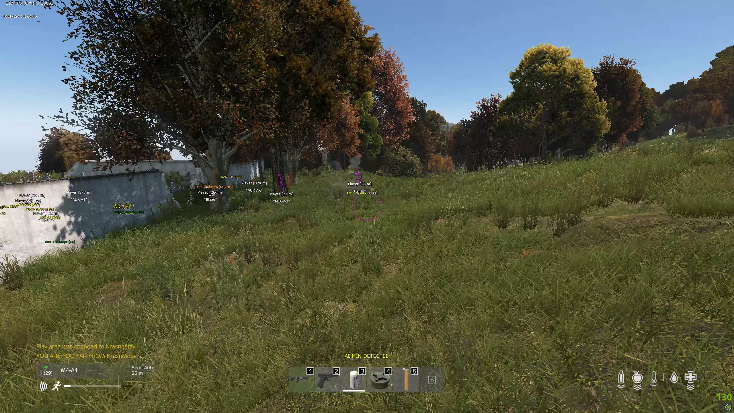 dayz cheats preview